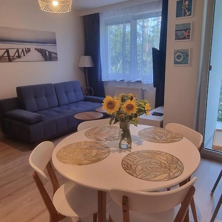 Apartament Osiem Gwiazdek دجيفنوفيك المظهر الخارجي الصورة